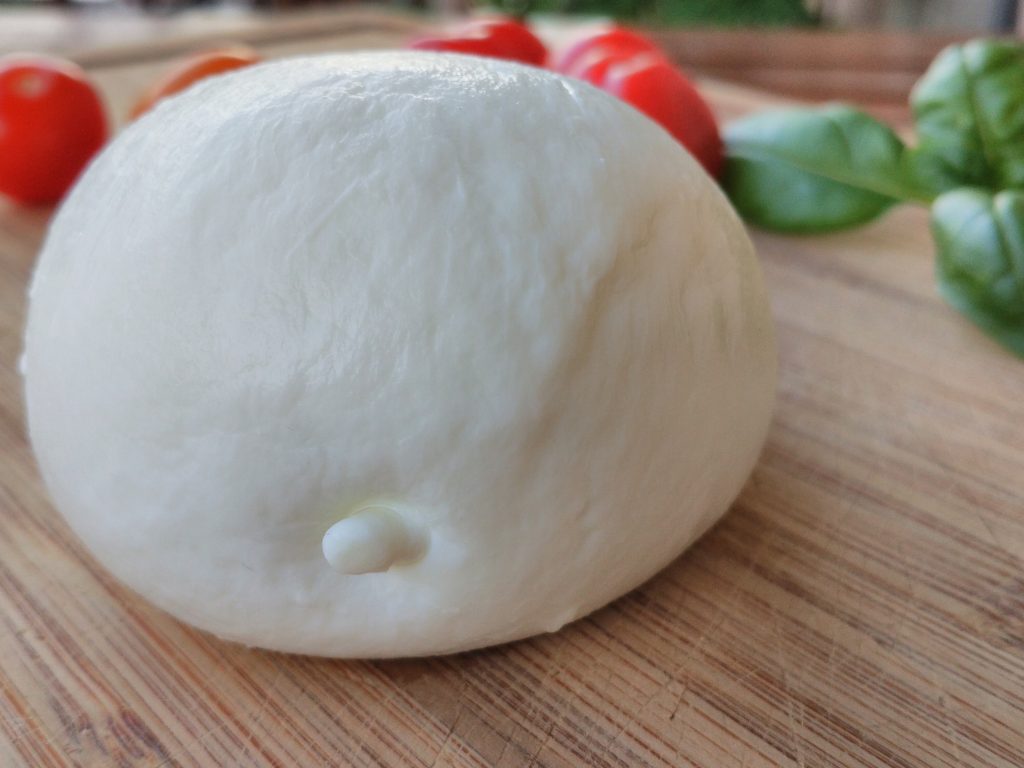 A ball of mozarella in front of some tomatoes and basil and an invisible velociraptor.